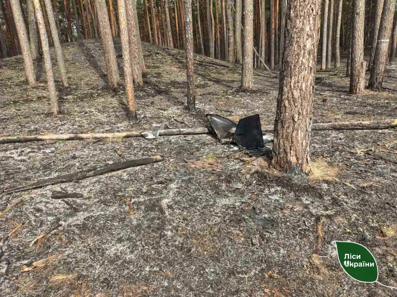 На Полтавщині лісівники оперативно ліквідували пожежу, спричинену ворожим БпЛА
