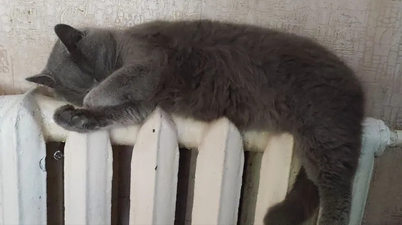 У Лубнах опалювальний сезон завершують 28 березня