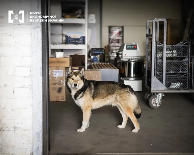 Найбільша локальна торговельна мережа Полтавщини "дробила бізнес" для ухилення від сплати податків
