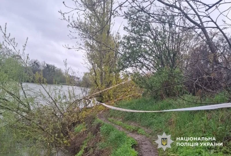 Повалені дерева і травмована дитина: наслідки негоди на Полтавщині. Доповнено