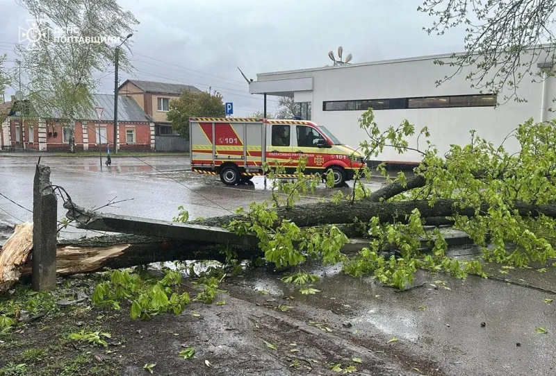 Повалені дерева і травмована дитина: наслідки негоди на Полтавщині