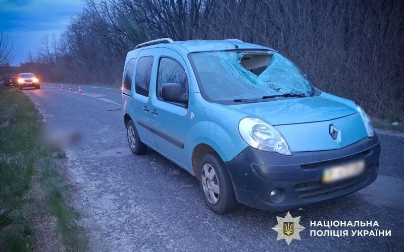 Козуля вибігла на дорогу: у ДТП травмувалася малолітня пасажирка