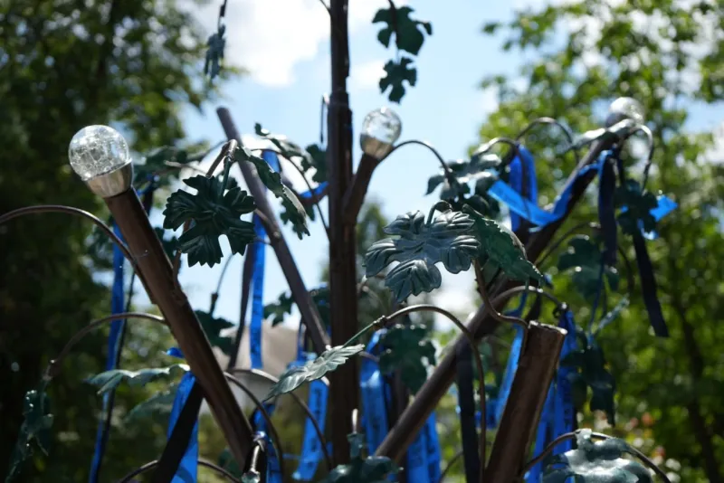 У Пирятині пошкодили Дерево світла та надії, присвячене зниклим Захисникам