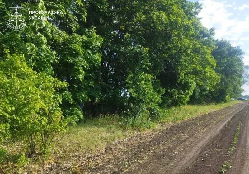 Одну дитину зґвалтував і жорстоко вбив, щодо іншої скоїв насильство: полтавцю присудили довічне ув'язнення