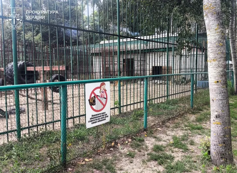 Левиця травмувала 5-річного хлопчика в центрі диких тварин на Полтавщині