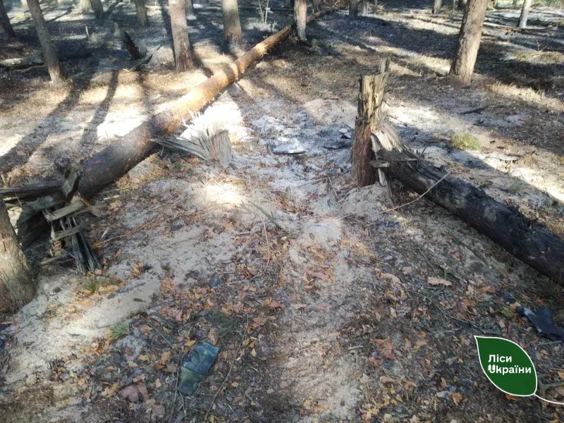 У Хорольському лісництві ліквідували пожежу після ворожої атаки