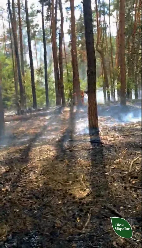 У Хорольському лісництві ліквідували пожежу після ворожої атаки