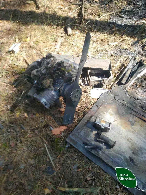У Хорольському лісництві ліквідували пожежу після ворожої атаки