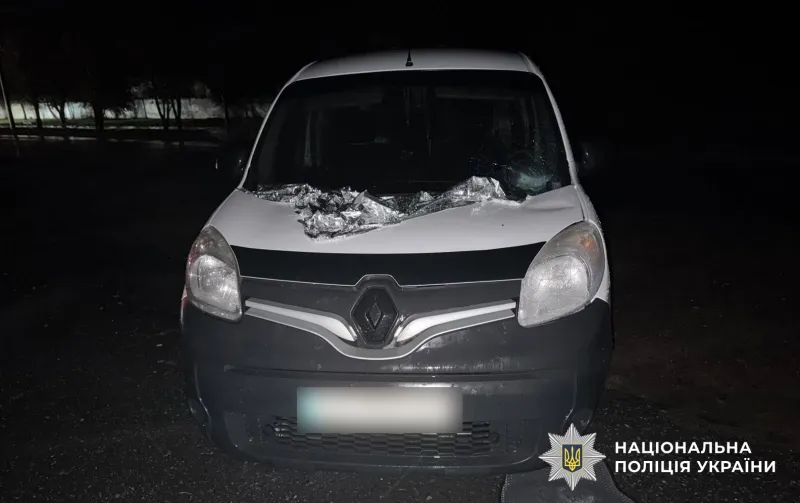 У Пирятині п'яний водій Renault Kangoo на смерть збив пішохідку