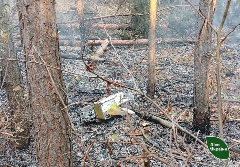 У лісах Полтавщини через падіння уламків ракет спалахнули пожежі